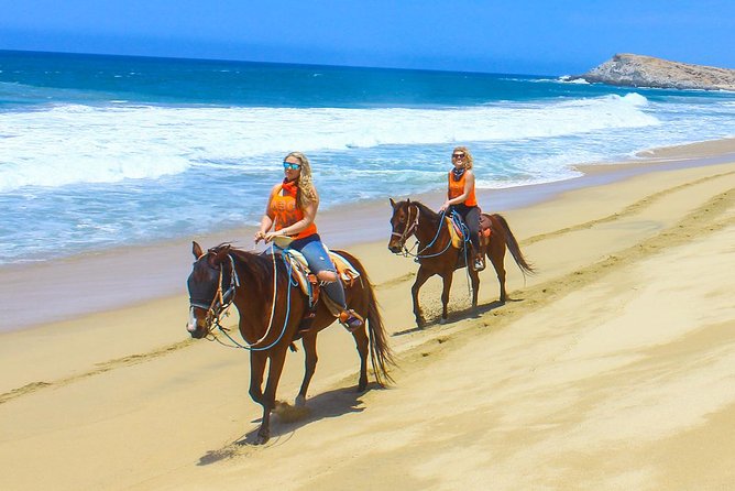 Los Cabos - COMBO Horseback Riding & ATV Tour - One hour through canyons, sand creeks, and mountain tracks