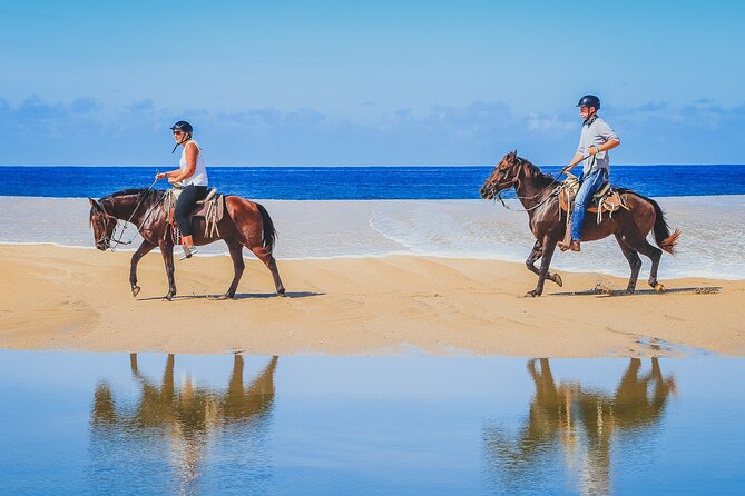 Los Cabos Horseback Riding - From Cabo hotels to the riding center