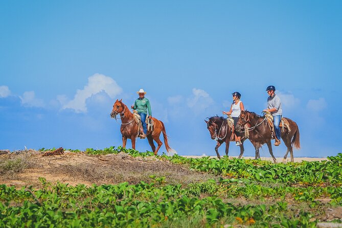 Los Cabos Horseback Riding - Heat, water, and the pace of the ride