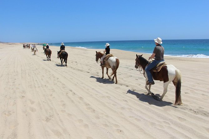 Los Cabos Horseback Riding - What the $120 price really covers