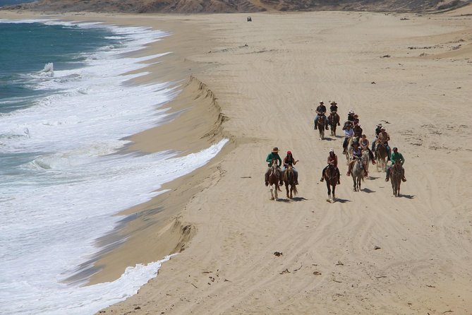 Los Cabos Horseback Riding - Practical details that can make the day better
