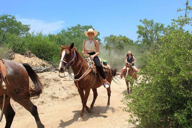Los Cabos: Horseback Riding in Canyon a Mexican Experience - Booking advice and cancellation flexibility