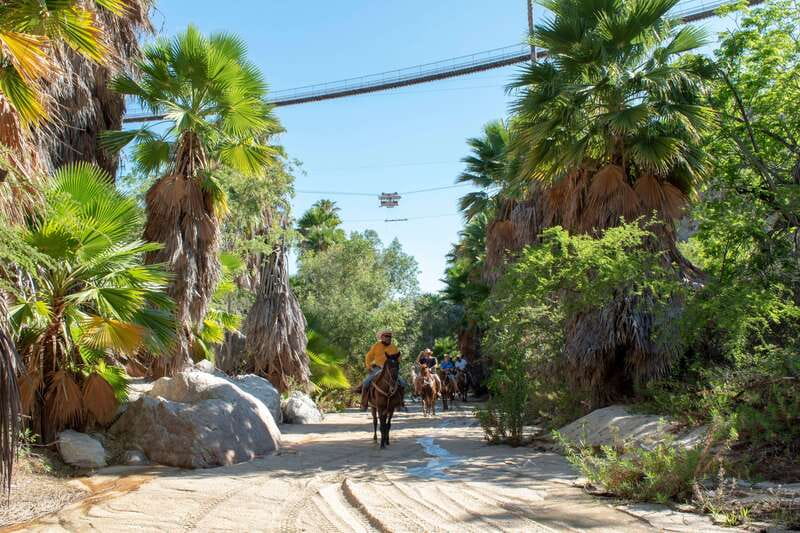 Los Cabos: Horseback Riding in Canyon a Mexican Experience - Lion’s Den turns the outing into a Mexican-style finish
