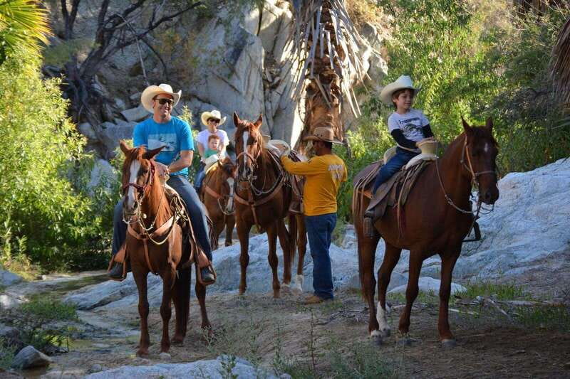 Los Cabos: Horseback Riding in Canyon a Mexican Experience - Price, park fees, and the real cost
