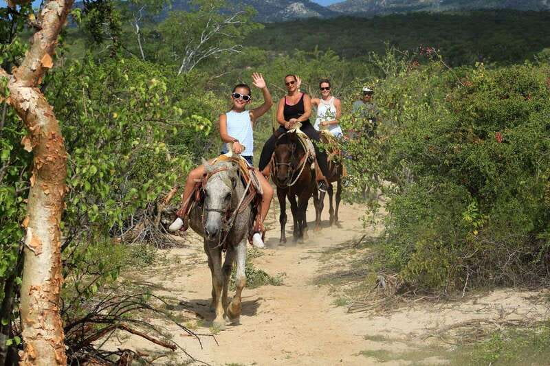 Los Cabos: Horseback Riding in Canyon a Mexican Experience - Who should book this experience