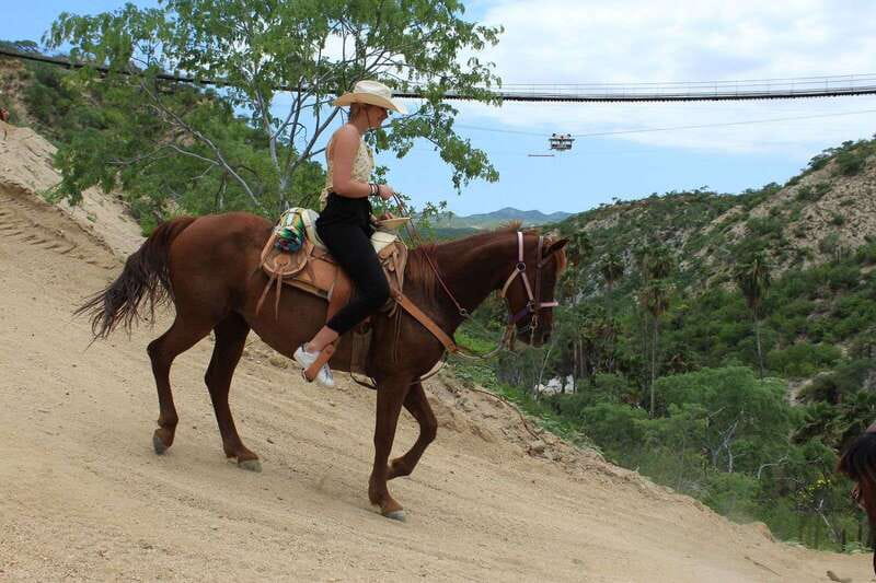 Los Cabos: Horseback Riding in Canyon a Mexican Experience - Wild Canyon’s bridge, views, and animal kingdom