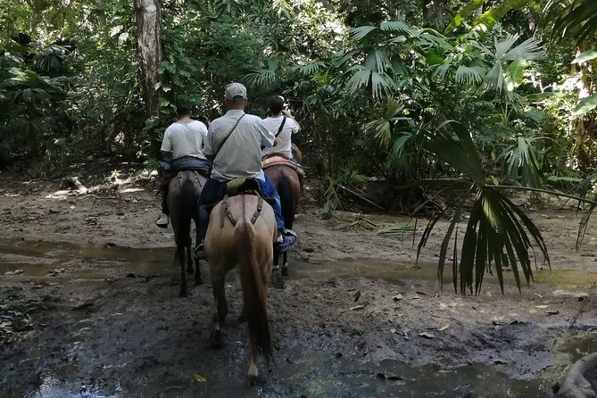Los Naranjos Beach Horseback Riding Tayrona Park. - The river crossing is the memorable part