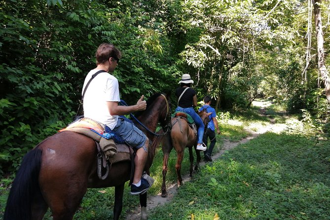 Los Naranjos Beach Horseback Riding Tayrona Park. - Safety, weather, and cancellation