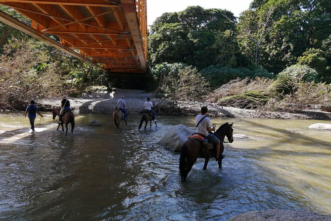 Los Naranjos Beach Horseback Riding Tayrona Park. - Morning ride or afternoon sunset departure