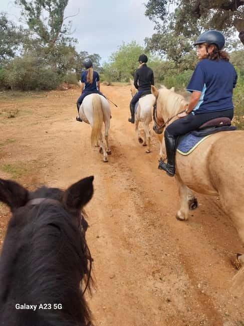 Loulé: Guided Horse Riding in the Hills of salir - What happens during the one-hour ride