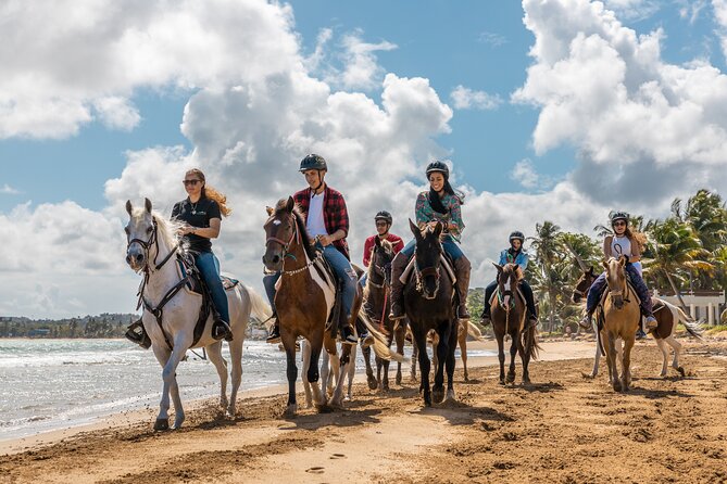 Luquillo Beach Horse Ride from Carabalí Rainforest Adventure Park - Is this the right Luquillo activity for you?