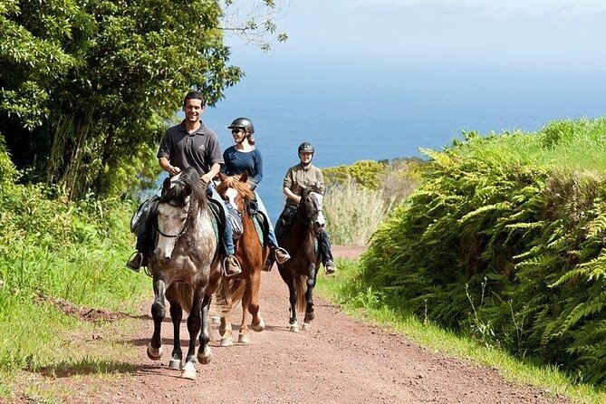 Lusitano Trail - Horseback riding for beginners - What happens before you get in the saddle