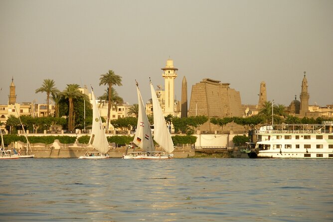 Luxor City Tour By Horse Carriage - A closer look at local life