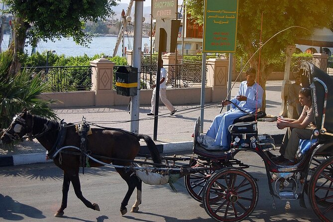 Luxor City Tour By Horse Carriage - What the private format adds