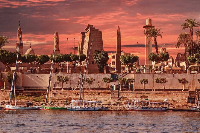 Luxor City Tour By Horse Carriage - Horse care and choosing a responsible ride