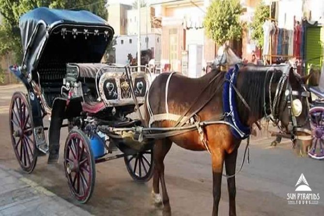 Luxor City Tour By Horse Carriage in Egypt - Seeing Luxor from a horse carriage