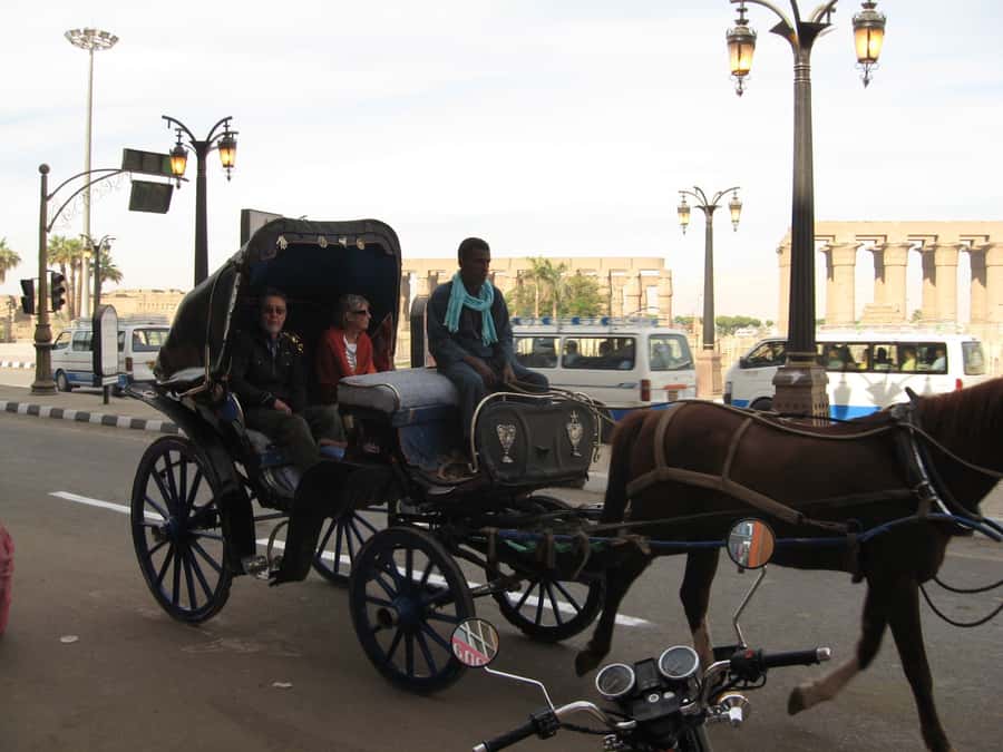 Luxor City Tour by Horse Carriage Visit Local - Key points to know before booking