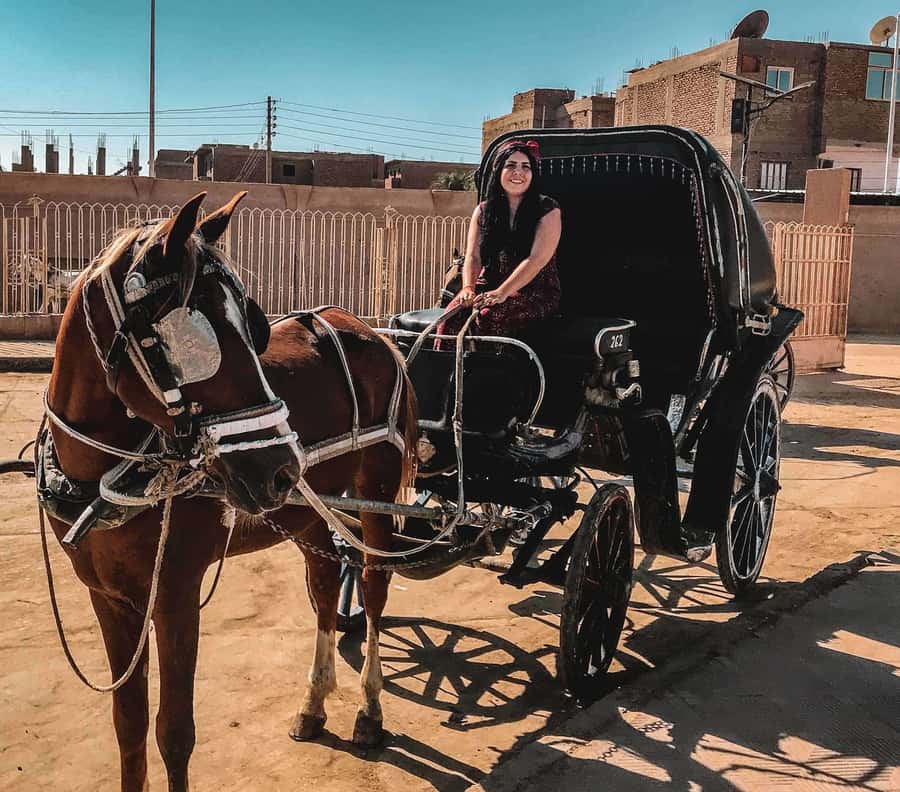 Luxor City Tour by Horse Carriage Visit Local - Price, duration, and overall value