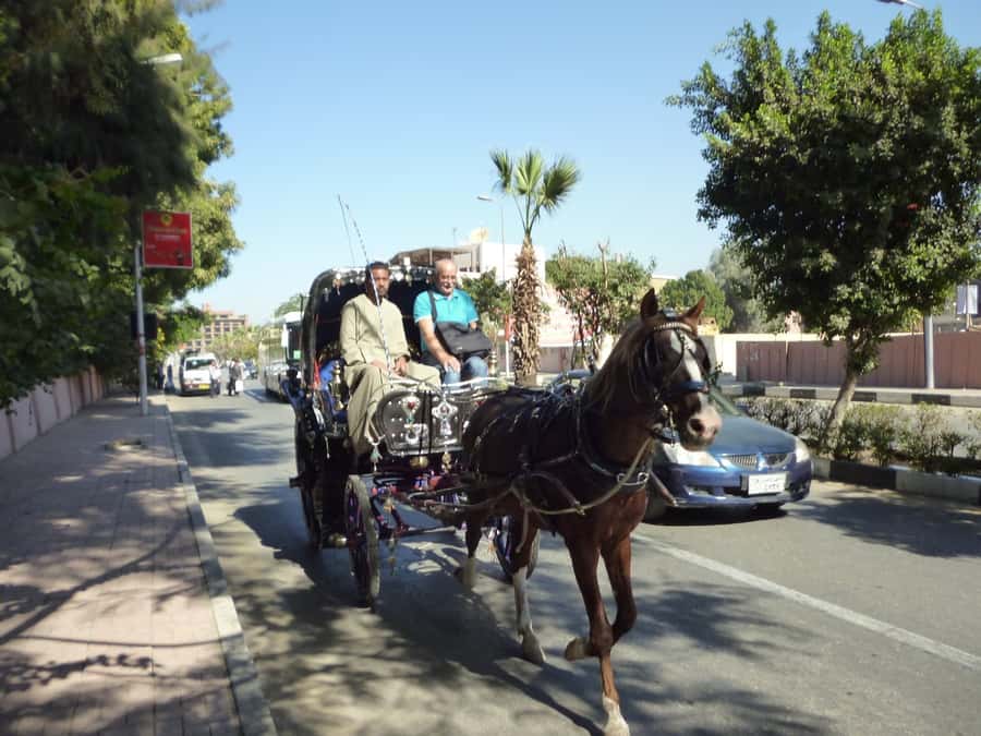 Luxor City Tour by Horse Carriage Visit Local - Why a horse carriage works well in Luxor