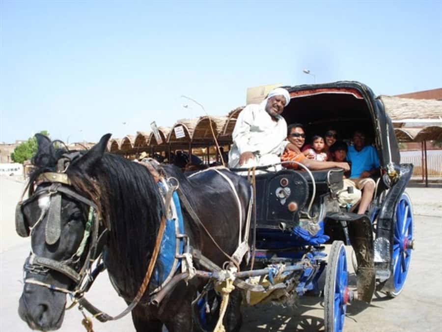 Luxor City Tour by Horse Carriage Visit Local - Through a historic village and local streets