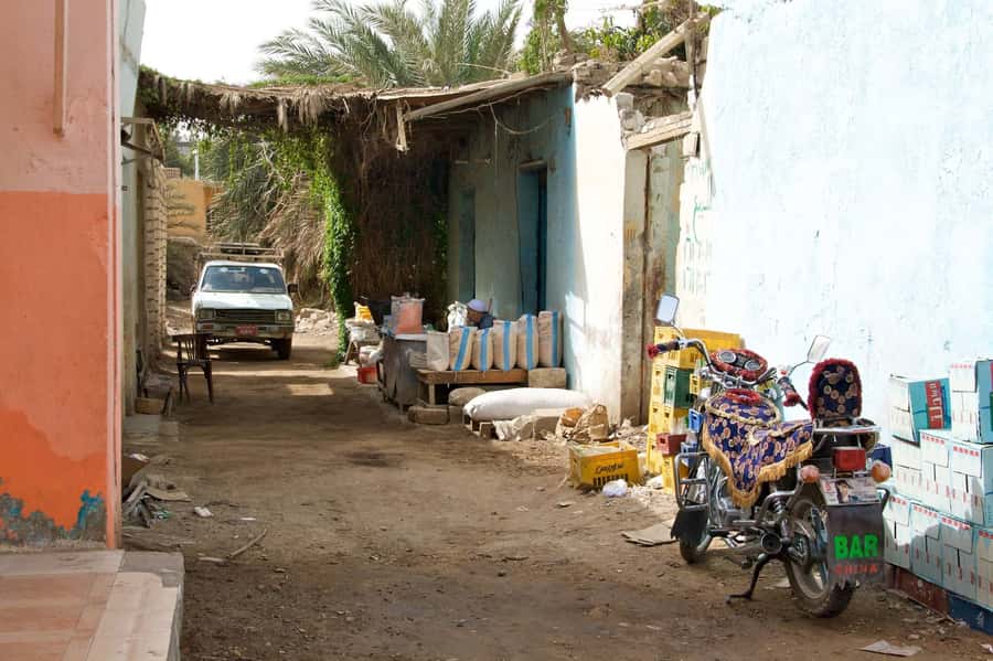 Luxor City Tour by Horse Carriage Visit Local - The souq: Luxor beyond the temples