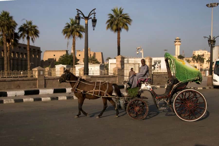 Luxor City Tour by Horse Carriage Visit Local - Coptic churches along the East Bank