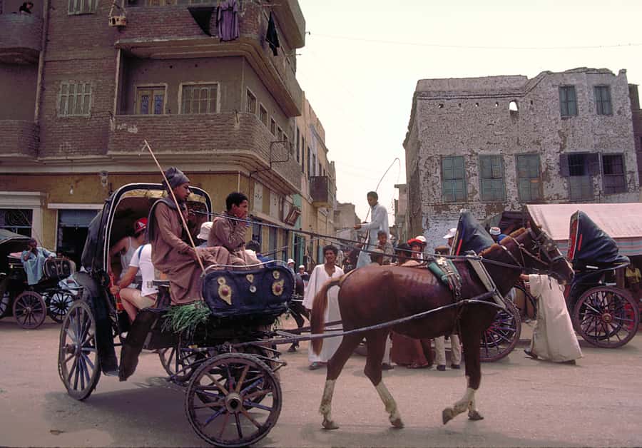 Luxor City Tour by Horse Carriage Visit Local - What the guide adds to the ride