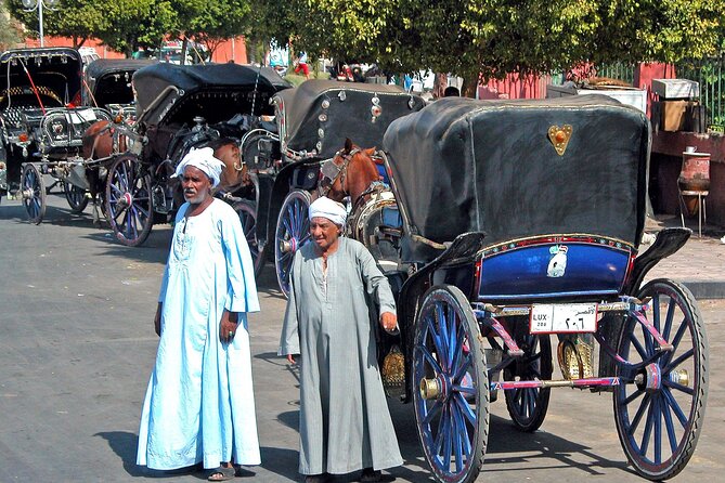 Luxor City Tour By Horse Carriage - Hotel pickup keeps the start simple