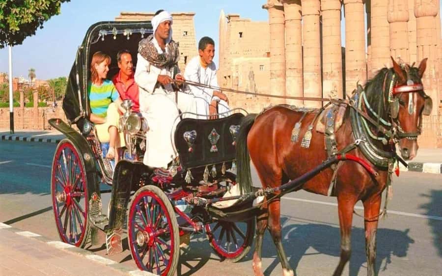 Luxor : Luxor City Tour By Horse Carriage Private Tour - A Short Horse-Carriage Look at Luxor