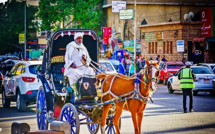 Luxor : Luxor City Tour By Horse Carriage Private Tour - What the Ride Along the Nile Corniche Feels Like