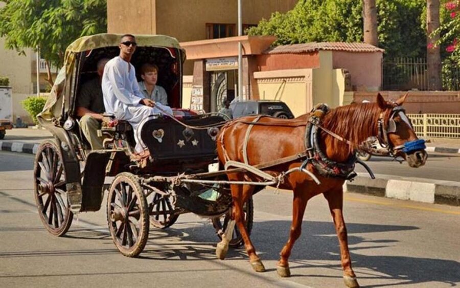 Luxor : Luxor City Tour By Horse Carriage Private Tour - Should You Book This Horse-Carriage Tour?