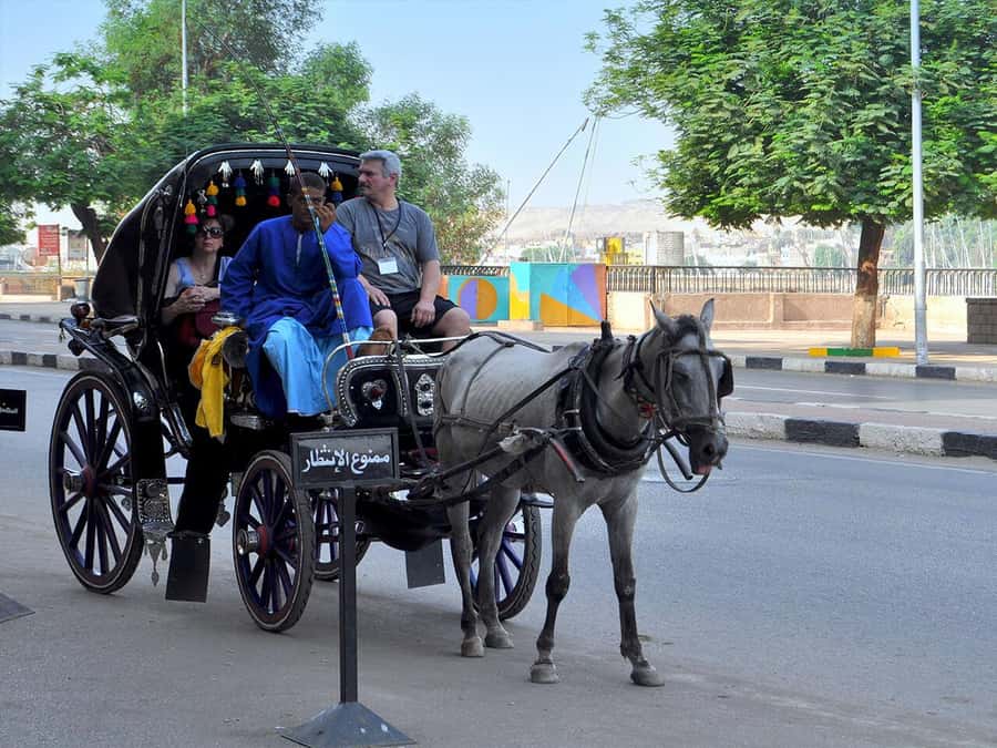 Luxor : Luxor City Tour By Horse Carriage Private Tour - The One-Hour Carriage Ride and Walking Time