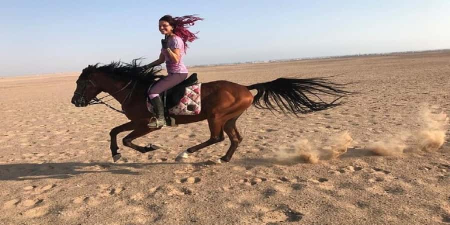 Luxor: Scenic Camel or Horse Ride - What the 90-minute schedule really means