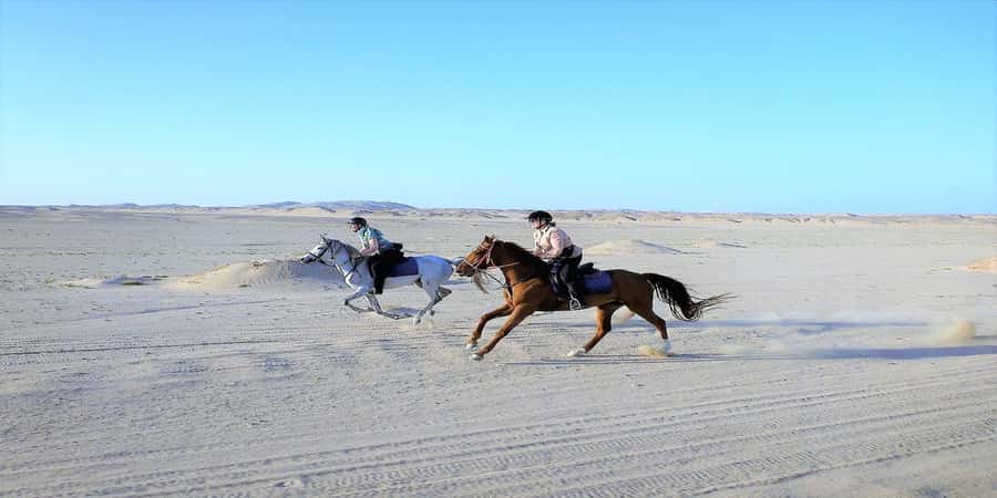 Luxor: Scenic Camel or Horse Ride - Who will enjoy this ride most