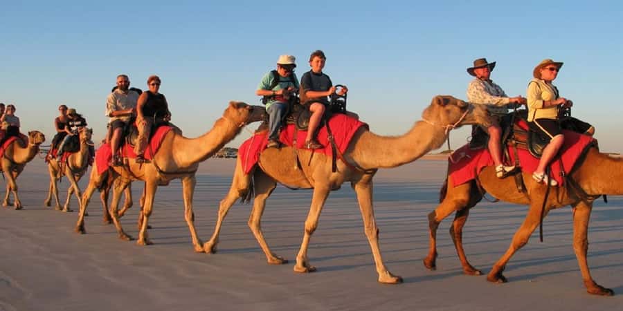 Luxor: Scenic Camel or Horse Ride - Choosing between a camel and a horse