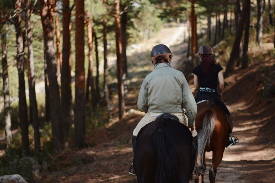 Madrid: Horse Riding in Sierra del Guadarrama National Park - Key points to know before booking