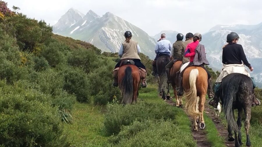 Madrid: Horse Riding in Sierra del Guadarrama National Park - Two hours through mountain country
