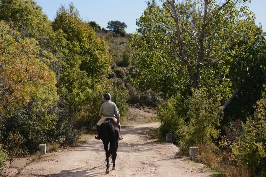 Madrid: Horse Riding in Sierra del Guadarrama National Park - Safety, clothing, and physical demands