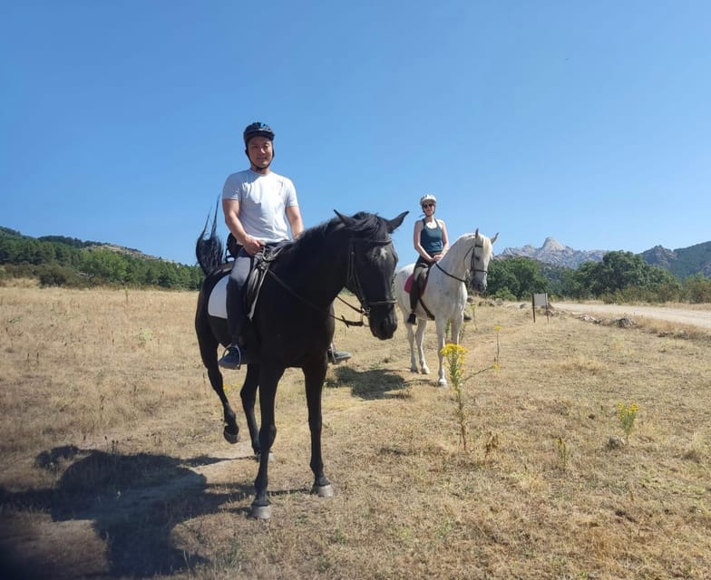 Madrid: Private Horseback Riding in Pedriza NP & Transport - Why the private format helps
