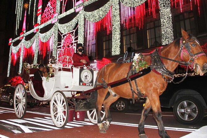 Magical Evening Horse-Drawn Carriage through NYC (65 min) - The horse, the blankets, and the human touch