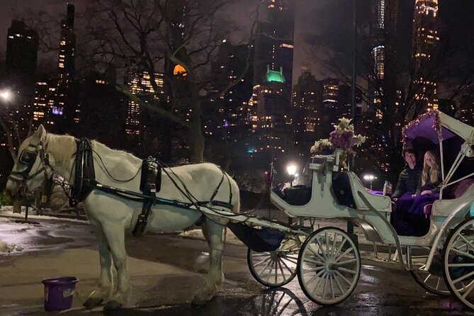 Magical Evening Horse-Drawn Carriage through NYC (65 min) - Starting at Central Park South