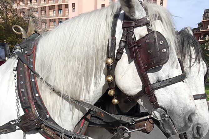 Majorelle-Menara garden & the Yves Saint Laurent museum Horse carriage tours - What the private format really gives you