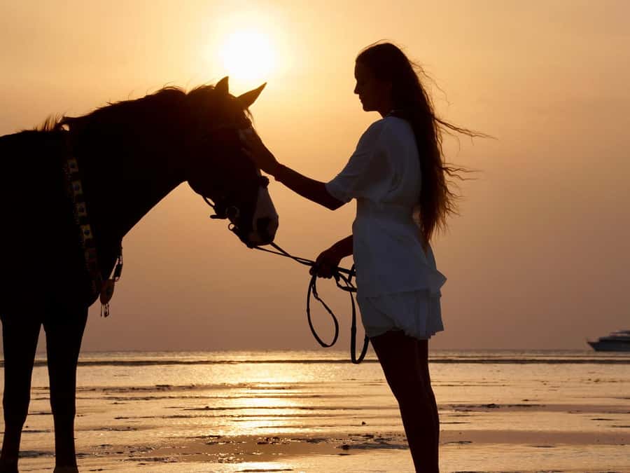 Makadi Bay: Horse Riding in Desert & Sea w Guide + Transfers - From Hurghada to Makadi Bay