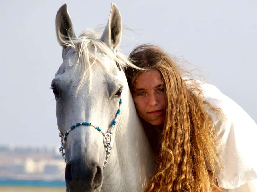 Makadi Bay: Horse Riding in Desert & Sea w Guide + Transfers - Two Hours Between Sand and Sea
