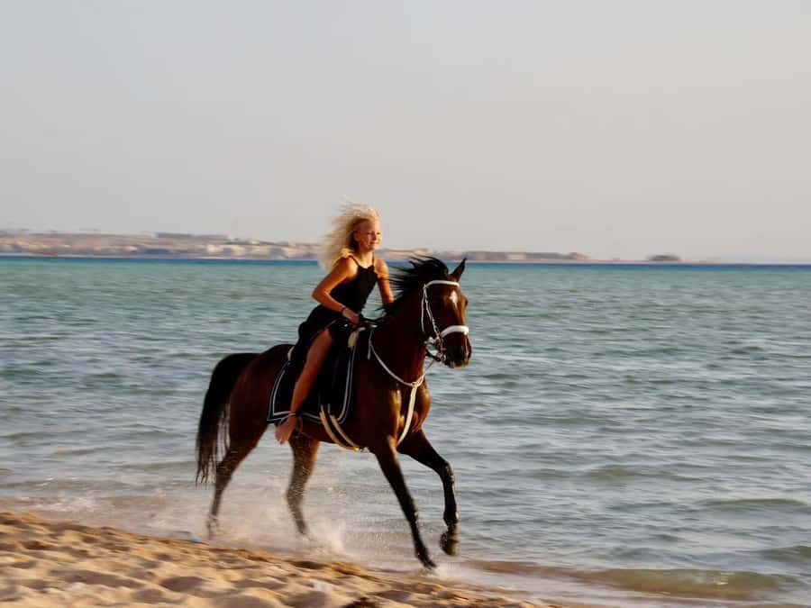 Makadi Bay: Horse Riding in Desert & Sea w Guide + Transfers - The Guides: Didi, Anita, and Communication