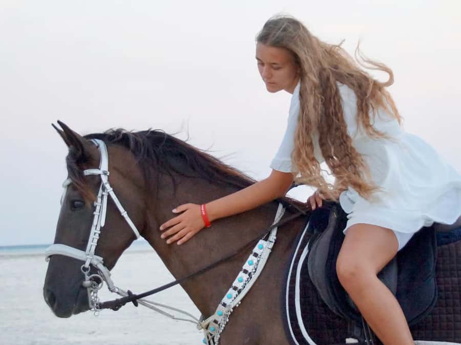 Makadi Bay: Horse Riding in Desert & Sea w Guide + Transfers - Horse Care and Safety: The Important Caveat
