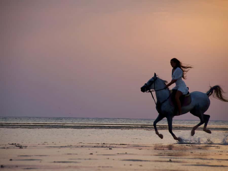 Makadi Bay: Horse Riding in Desert & Sea w Guide + Transfers - Photos, Videos, and the Setting