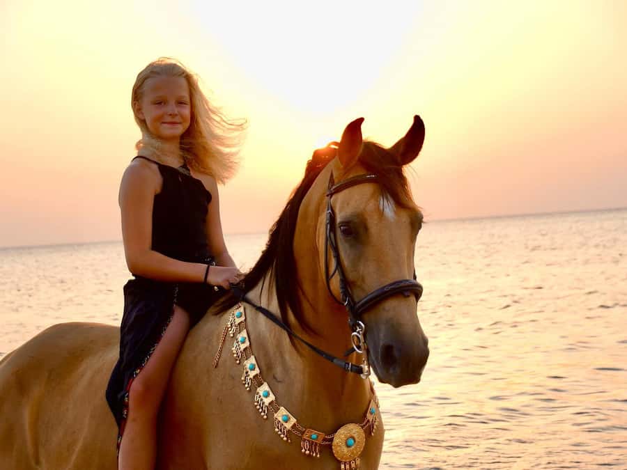 Makadi Bay: Horse Riding in Desert & Sea w Guide + Transfers - What the $35 Price Covers