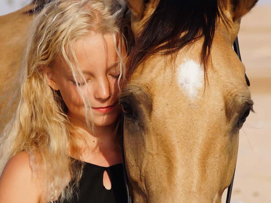 Makadi Bay: Horse Riding in Desert & Sea w Guide + Transfers - Practical Ways to Get More From the Three Hours