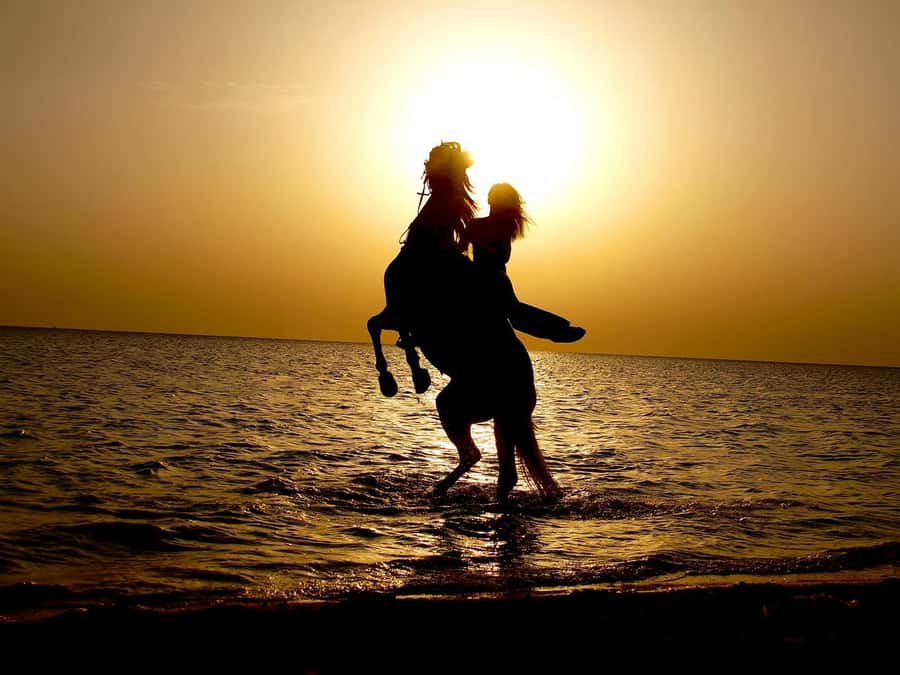 Makadi Bay: Horse Riding in Desert & Sea w Guide + Transfers - Should You Book Gamila Horse Riding?